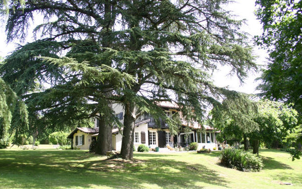 The Cedars